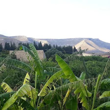 Tatil Evi The Great Garden With Pool, Parking & Wifi *