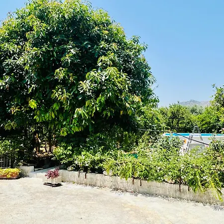 The Great Garden With Pool, Parking & Wifi * Avola
